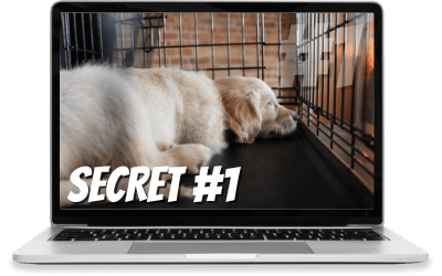 Funnel Hacking Secret #1: Funnel Hacking