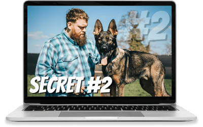 Funnel Hacking Secret #1: Funnel Hacking