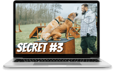 Funnel Hacking Secret #1: Funnel Hacking