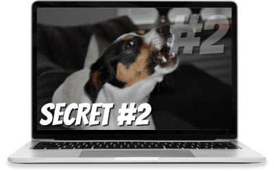 Funnel Hacking Secret #1: Funnel Hacking